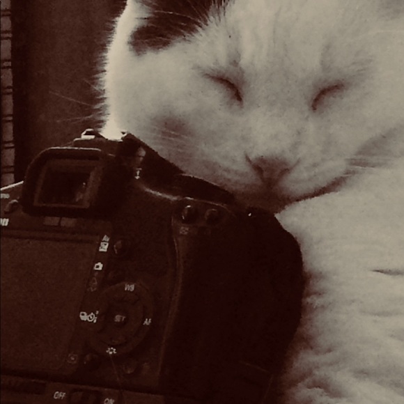 Meet your Posher, Charles - Picture 1 of 1